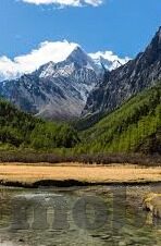 催眠邻居人妻-催眠邻居人妻，一场道德与心理的边界探索