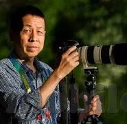 大象娱乐视频-探索大象娱乐视频，网络文化的新视角