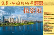 麻豆传媒app网站-揭秘互联网暗角，麻豆传媒app网站的真相探索