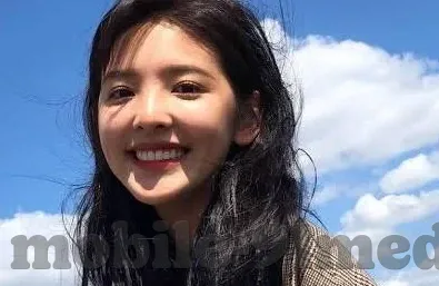 麻豆传煤官app免费网站-麻豆传媒官方APP探索，免费网站的灰幕