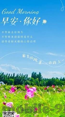 麻豆视频网站入口在线观看-XXX的数字洞见，麻豆视频网站的在线观影探索
