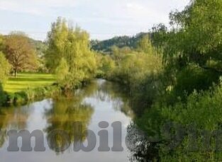 麻豆视频最新-从细微之处，看麻豆视频的最新动态