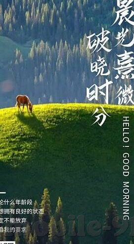 色天使在线av中文字幕-色天使在线av中文字幕，网络世界的灰色地带与道德边界