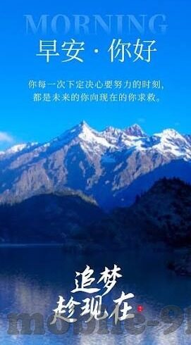糖心vlog安卓app官网-糖心vlog，安卓用户的创意影像乐园