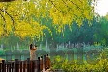 糖心vlog新官网入口-探索糖心Vlog新官网上线，解锁在创意门后的独特视频体验