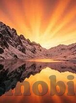 糖心vlog真实兑换码-探索现实与虚拟的交汇，糖心Vlog真实兑换码的背后故事