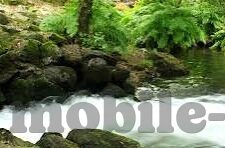 尤av无码av无码麻豆-以AViculture的秘密花园，揭秘尤AV麻豆的神秘世界为题的对话式文章内容如下